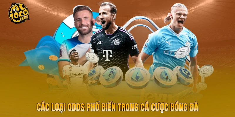Các loại odds phổ biến trong cá cược bóng đá